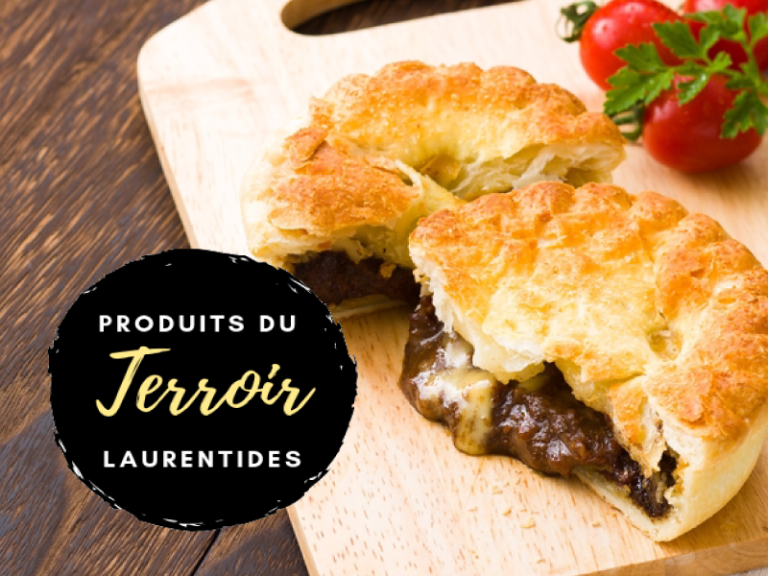 Tourtière au bison